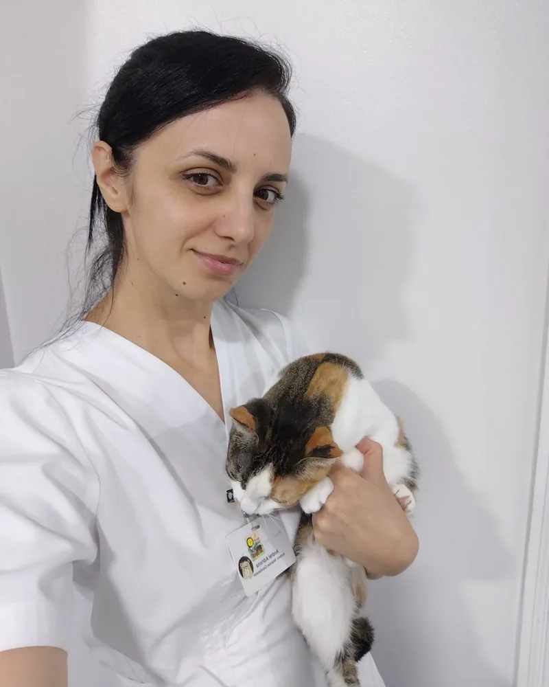 Medic veterinar ținând o pisică