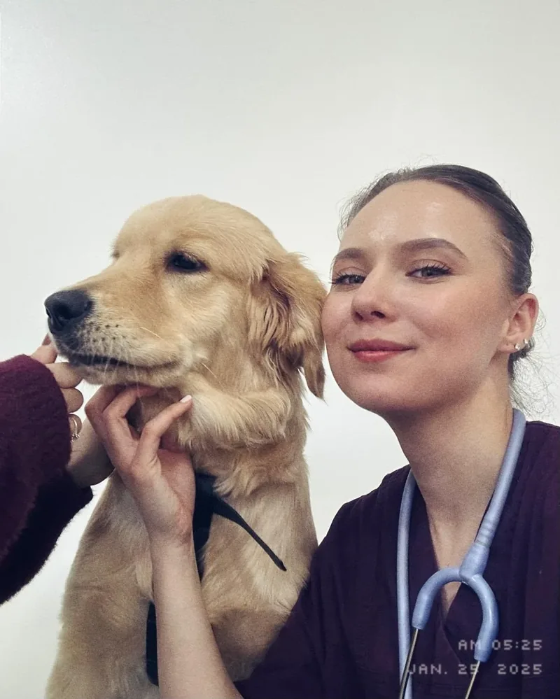 Medic veterinar cu un golden retriever la Praxis Vetlife