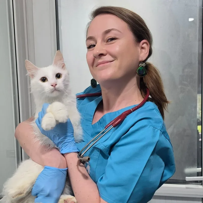 Medic veterinar cu o pisică albă
