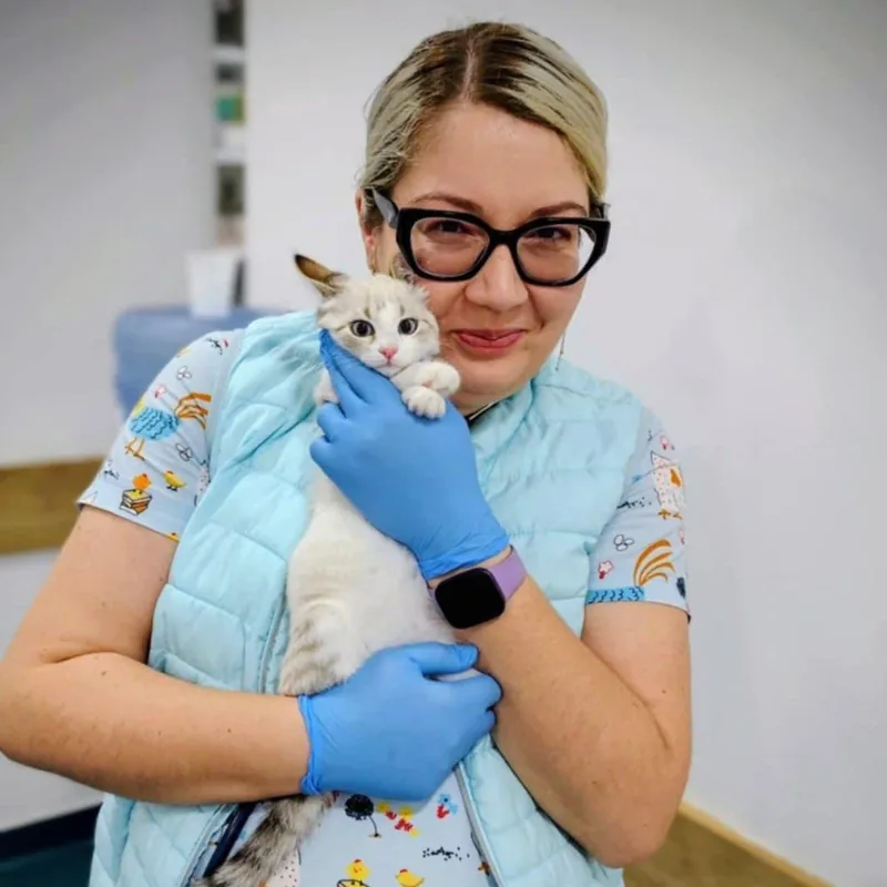 Medic veterinar ținând un pisoi